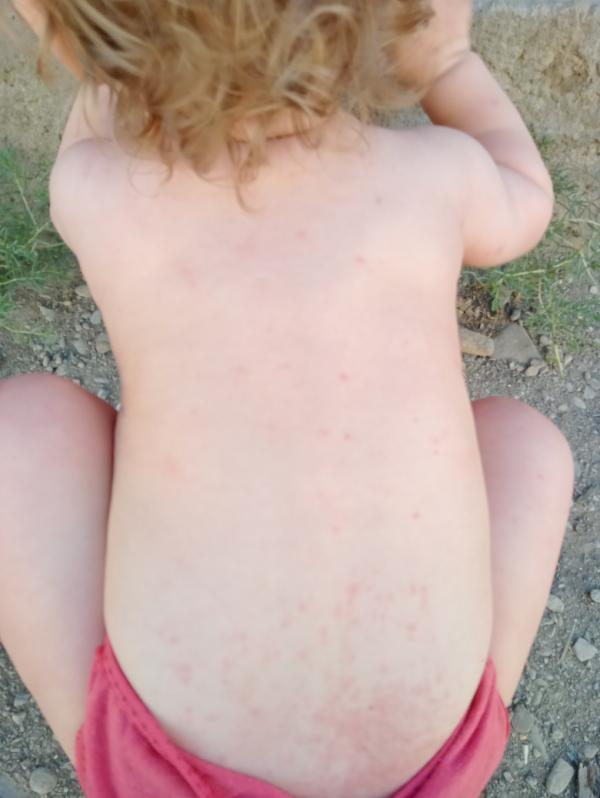 post image 5