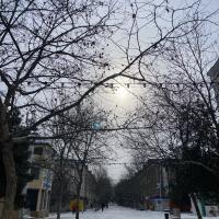 Халиса