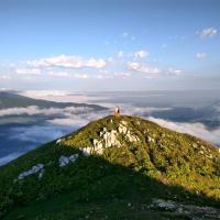 Маргарита