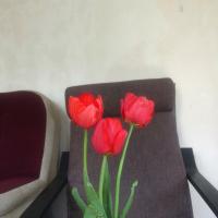 Юлия