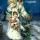 lesya33313