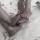 grishanina.anna