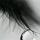 heda_33