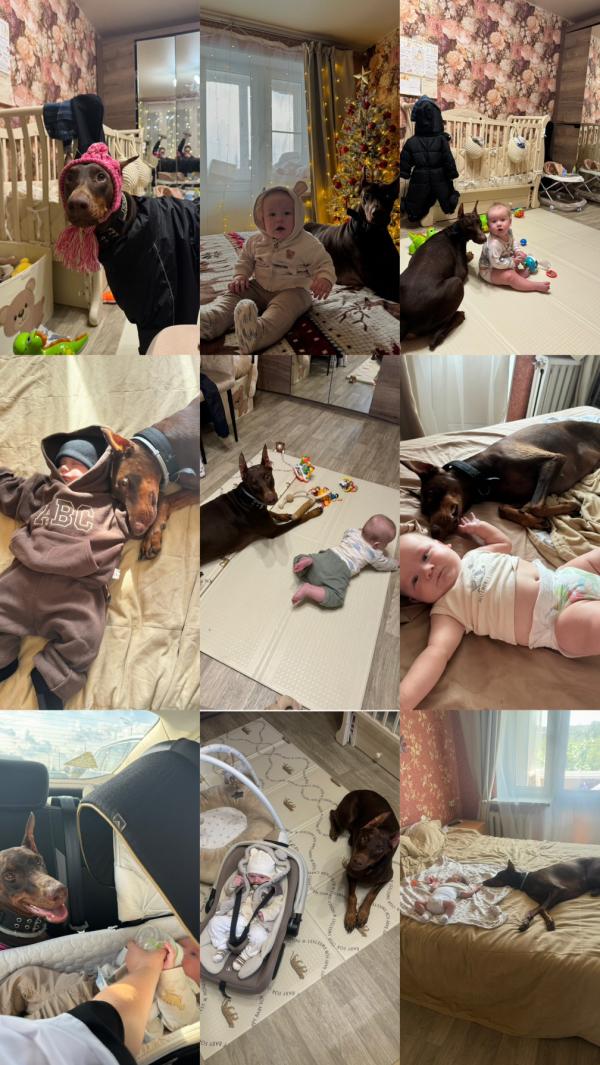 post image 1