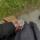 dism