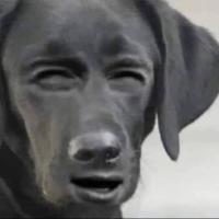 Дедуськина Бабуська