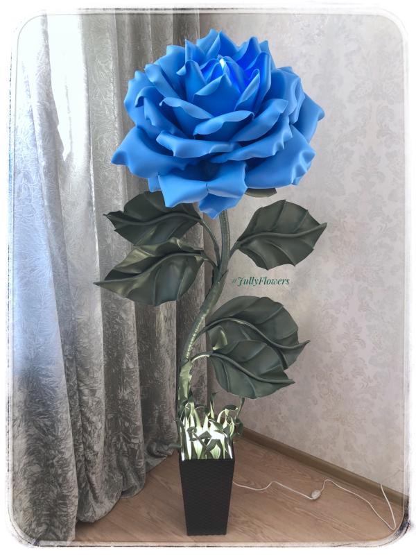 post image 5