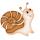 ylitka_sh