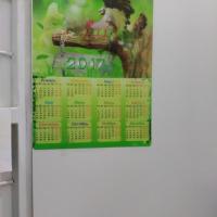 Солнце