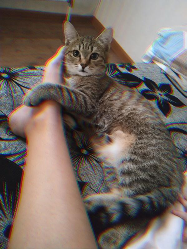 post image