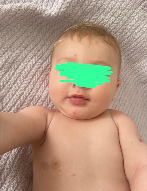 post image 4