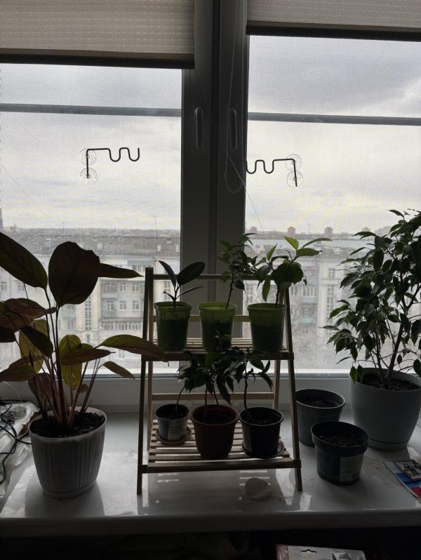 post image 4