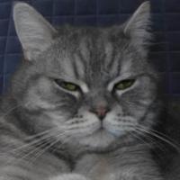 Лена