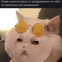Моё Имя)