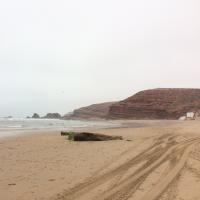 Aleksandra Nikitenko