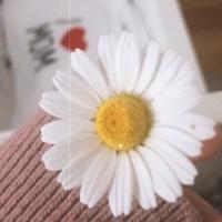 abmuami_doc
