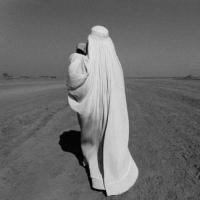 ماي