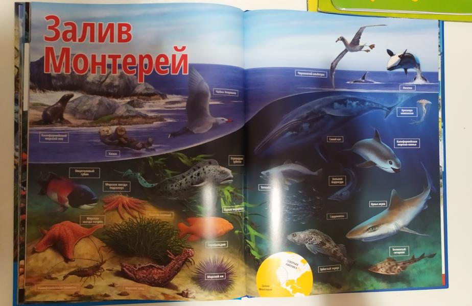post image 5