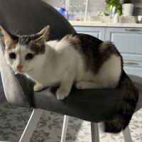 Алина