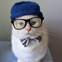 Mrs.Heisenberg