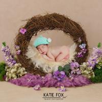 Катерина Фокс