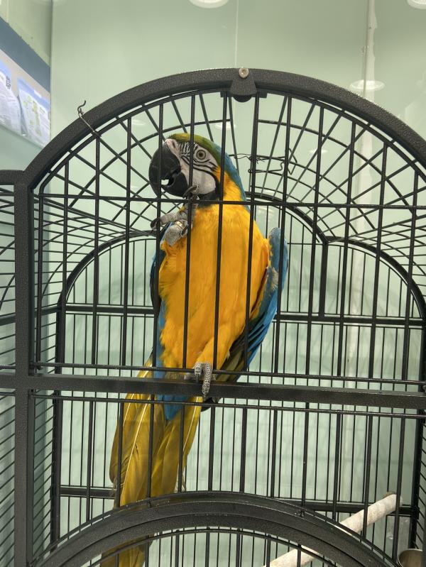 post image 1