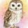 wiseowl