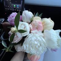Анастасия