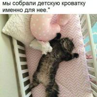 Хазбика Инзарическая