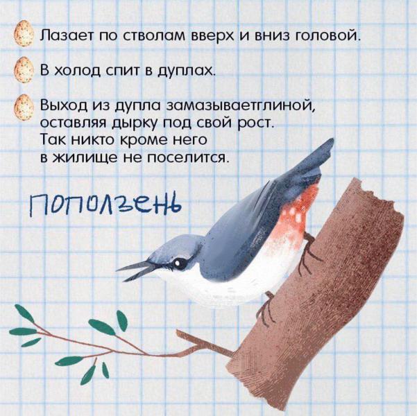 post image 5