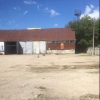 Яна Дмитриевна