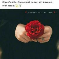 Linda 8585