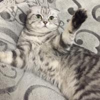 Катерина 