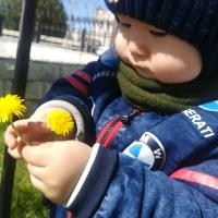 Zulya