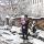 yaninazobkiv23