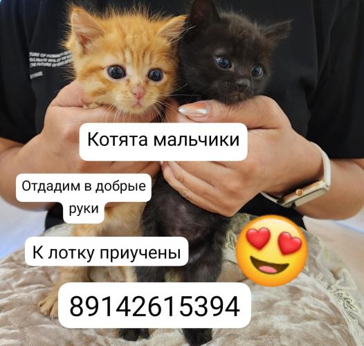 post image