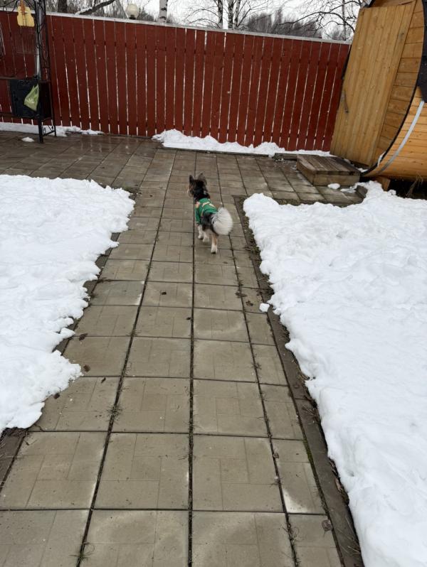 post image 5