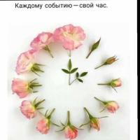 Равзанат