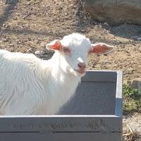 КОРЕЙСКАЯ КОСМЕТИКА 💙