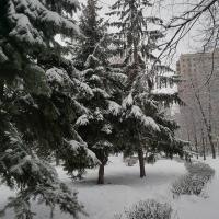 Арина