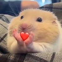 адекватная)