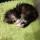 kate_5410