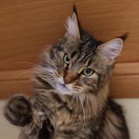 Марина