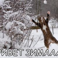 Татьяна