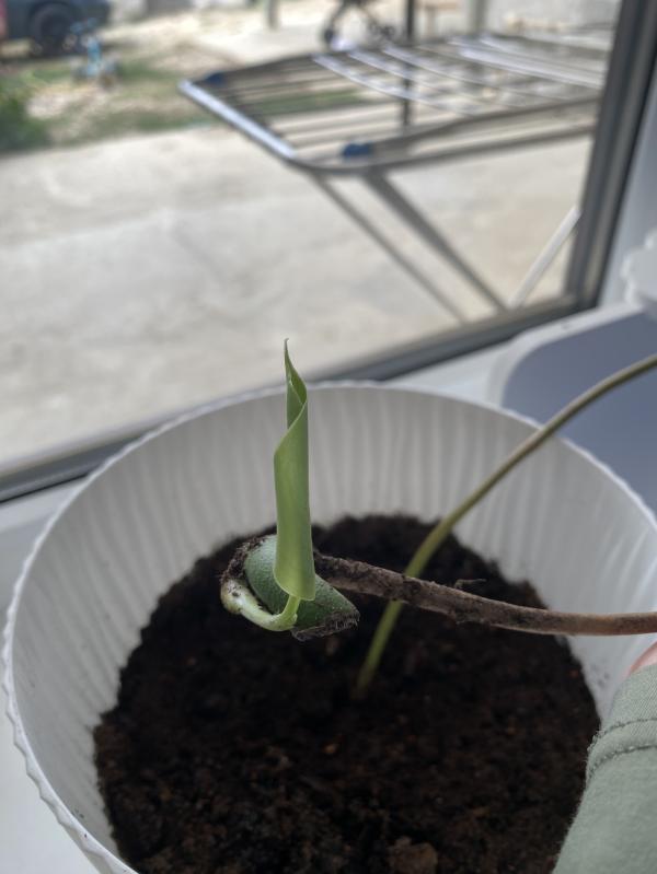post image 5