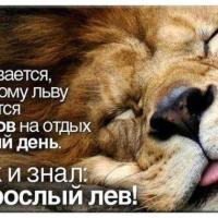 Луиза. 37 лет.
