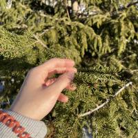 irkaeva-14@yandex.ru