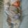 dimov.alex.22