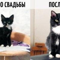 Юляся