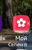 стикер